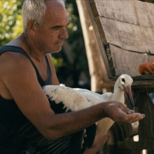 Příběh o Siljanovi (Jeden svět)